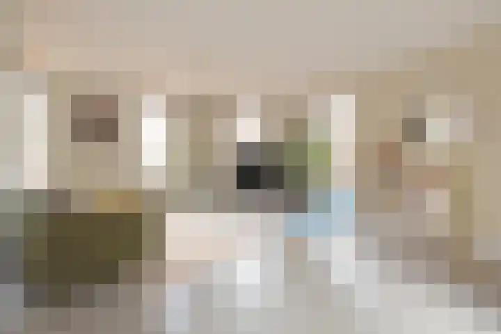 Baak van Zierikzee 56 Amersfoort thumbnail 11