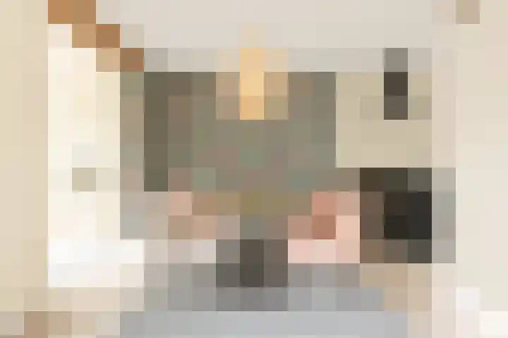 Baak van Zierikzee 56 Amersfoort thumbnail 5