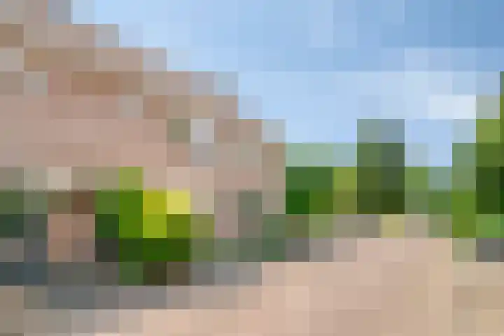 Baakberg 30 Roosendaal thumbnail 37