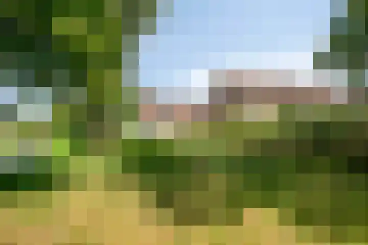 Baakberg 30 Roosendaal thumbnail 38