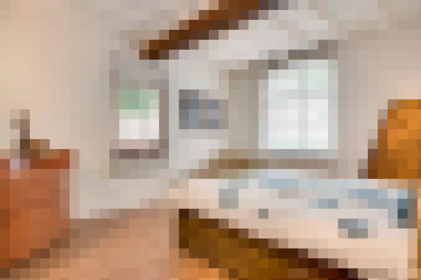 Baakhoven 11 Susteren thumbnail 16