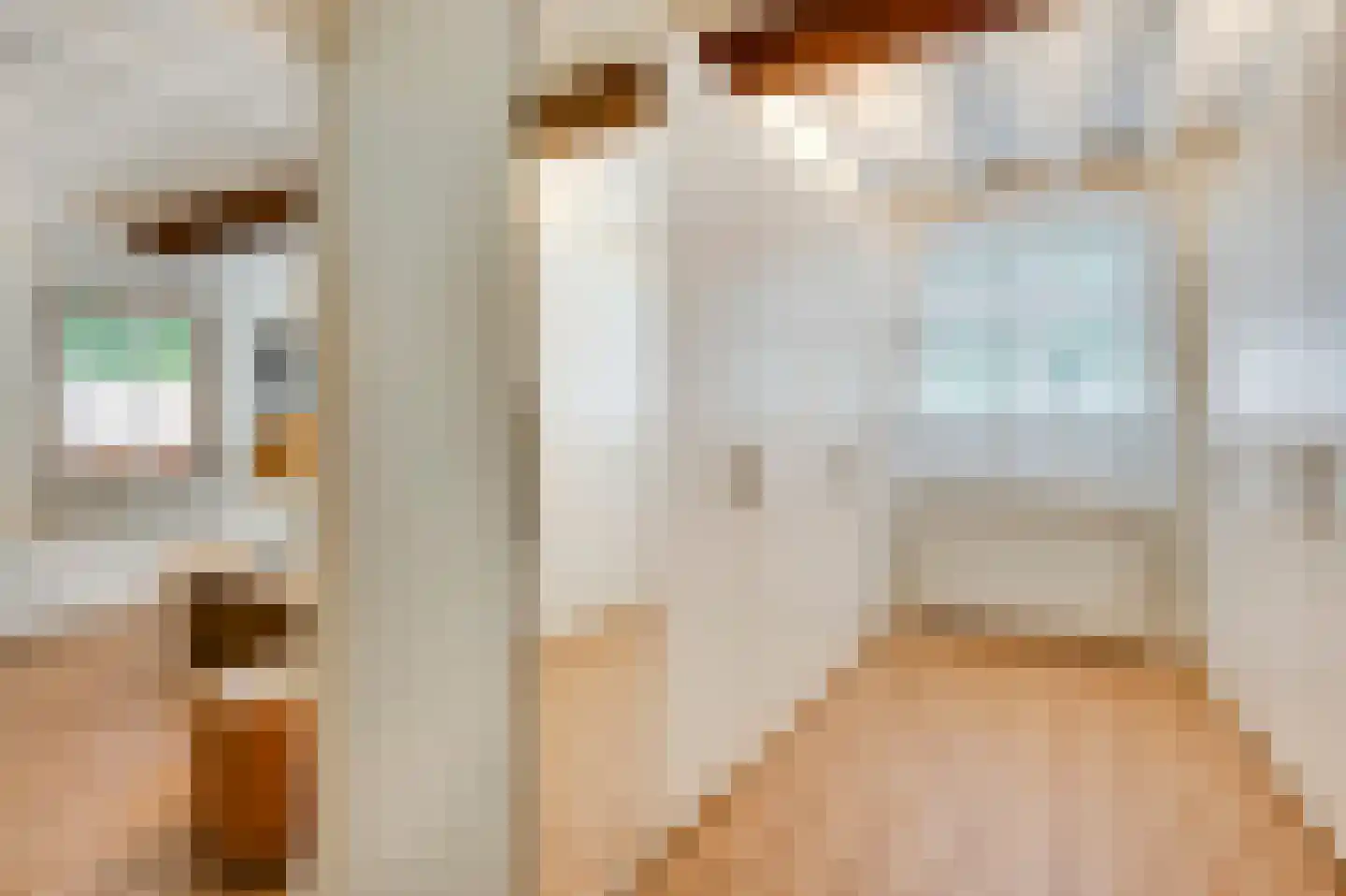 Baakhoven 11 Susteren thumbnail 17