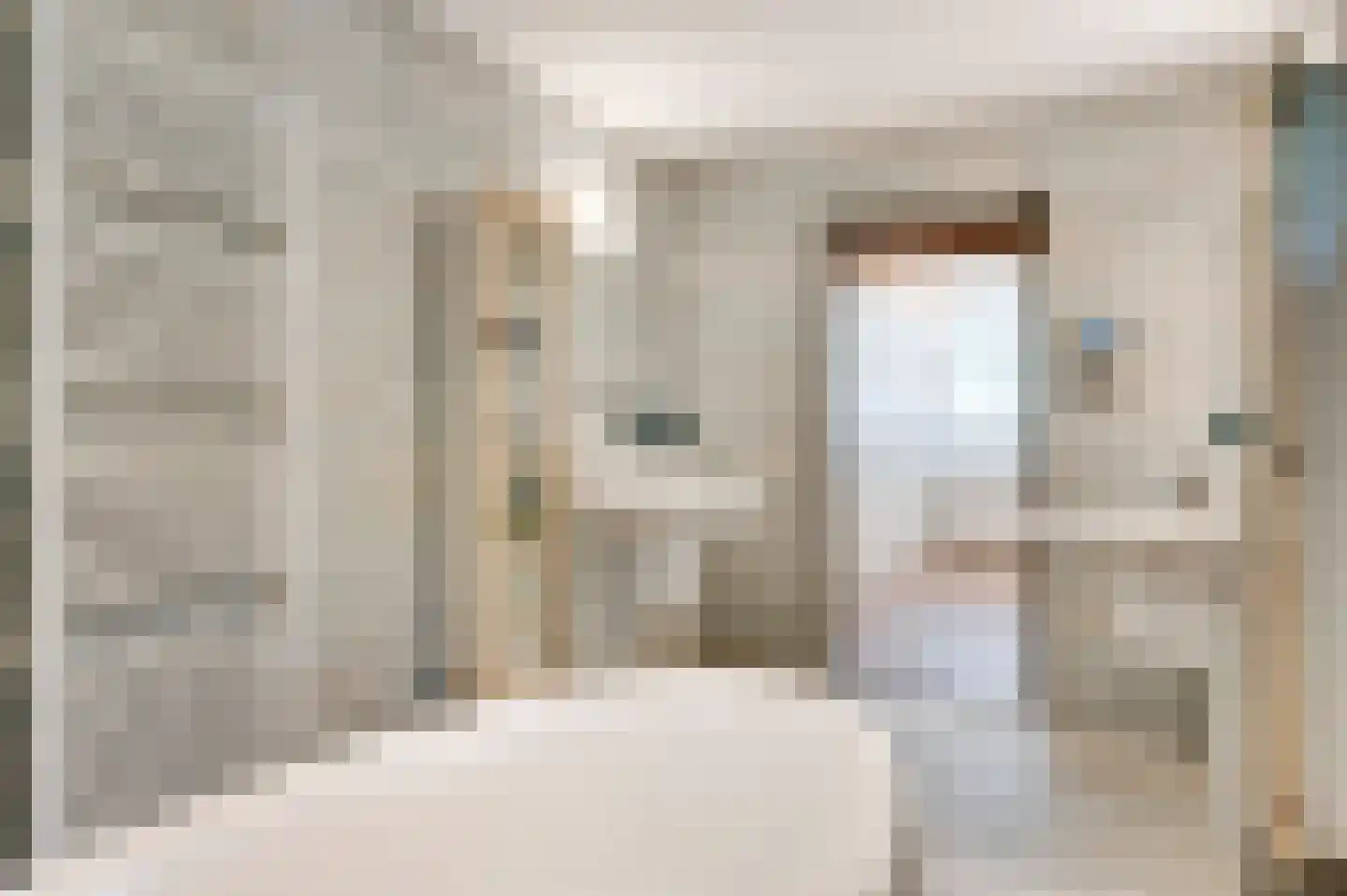 Baakhoven 11 Susteren thumbnail 19