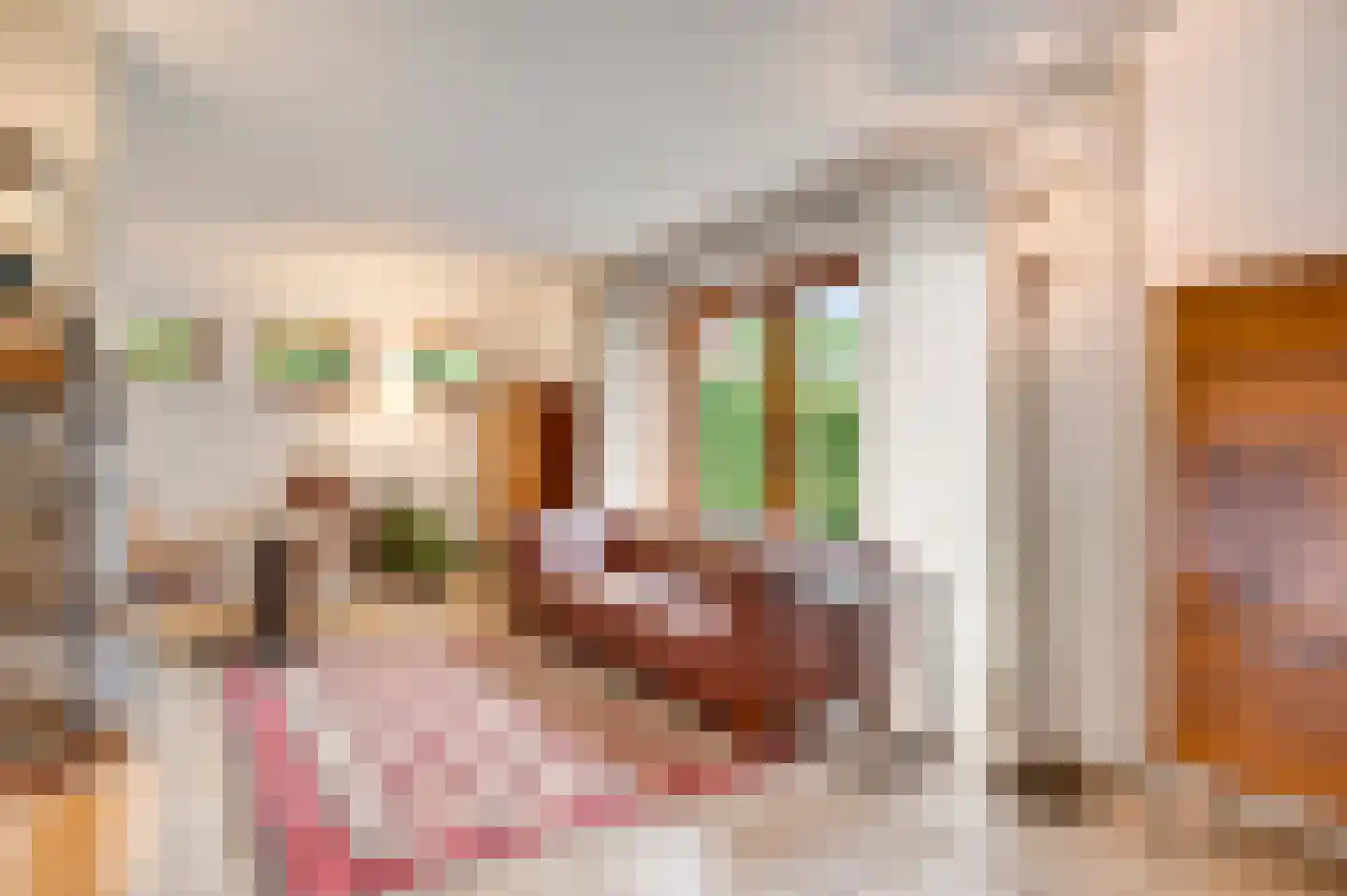 Baakhoven 11 Susteren thumbnail 20
