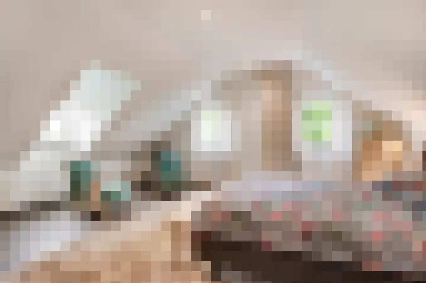 Baakhoven 11 Susteren thumbnail 23