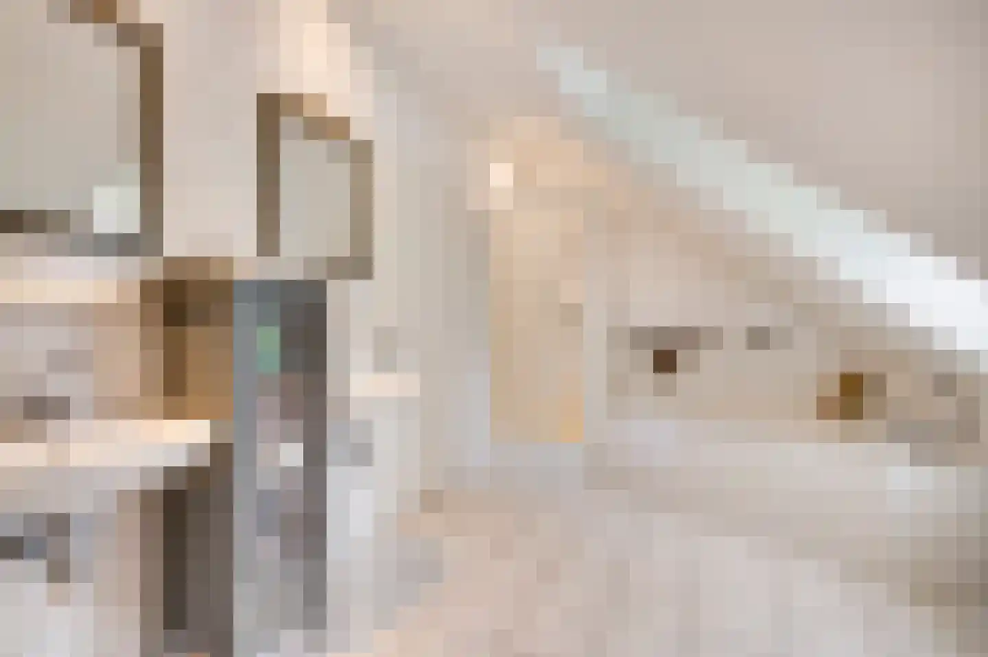 Baakhoven 11 Susteren thumbnail 25