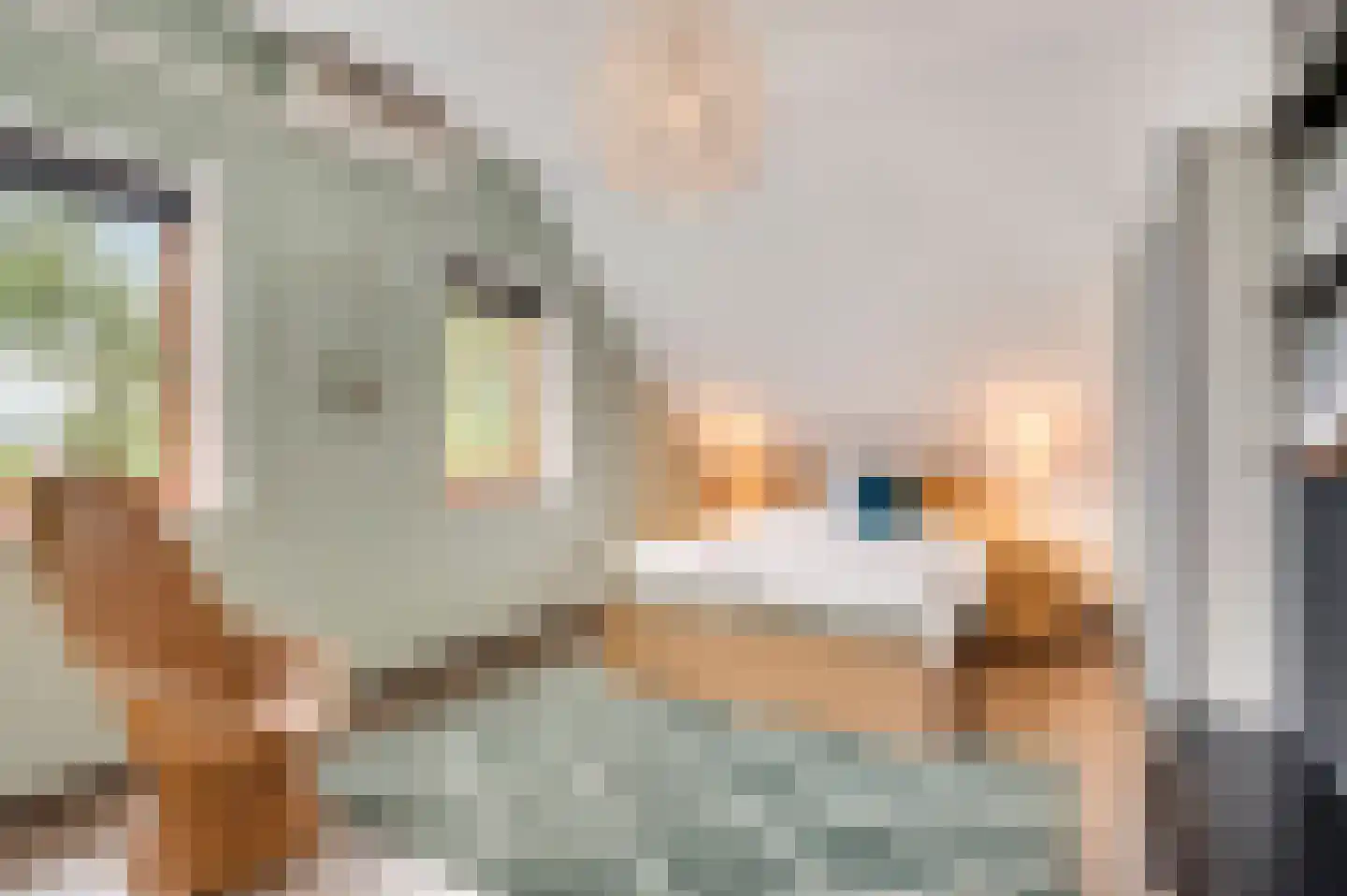 Baakhoven 11 Susteren thumbnail 27