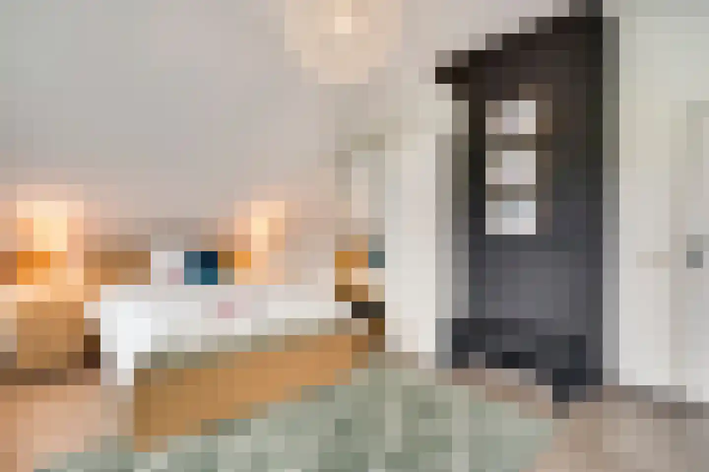 Baakhoven 11 Susteren thumbnail 28