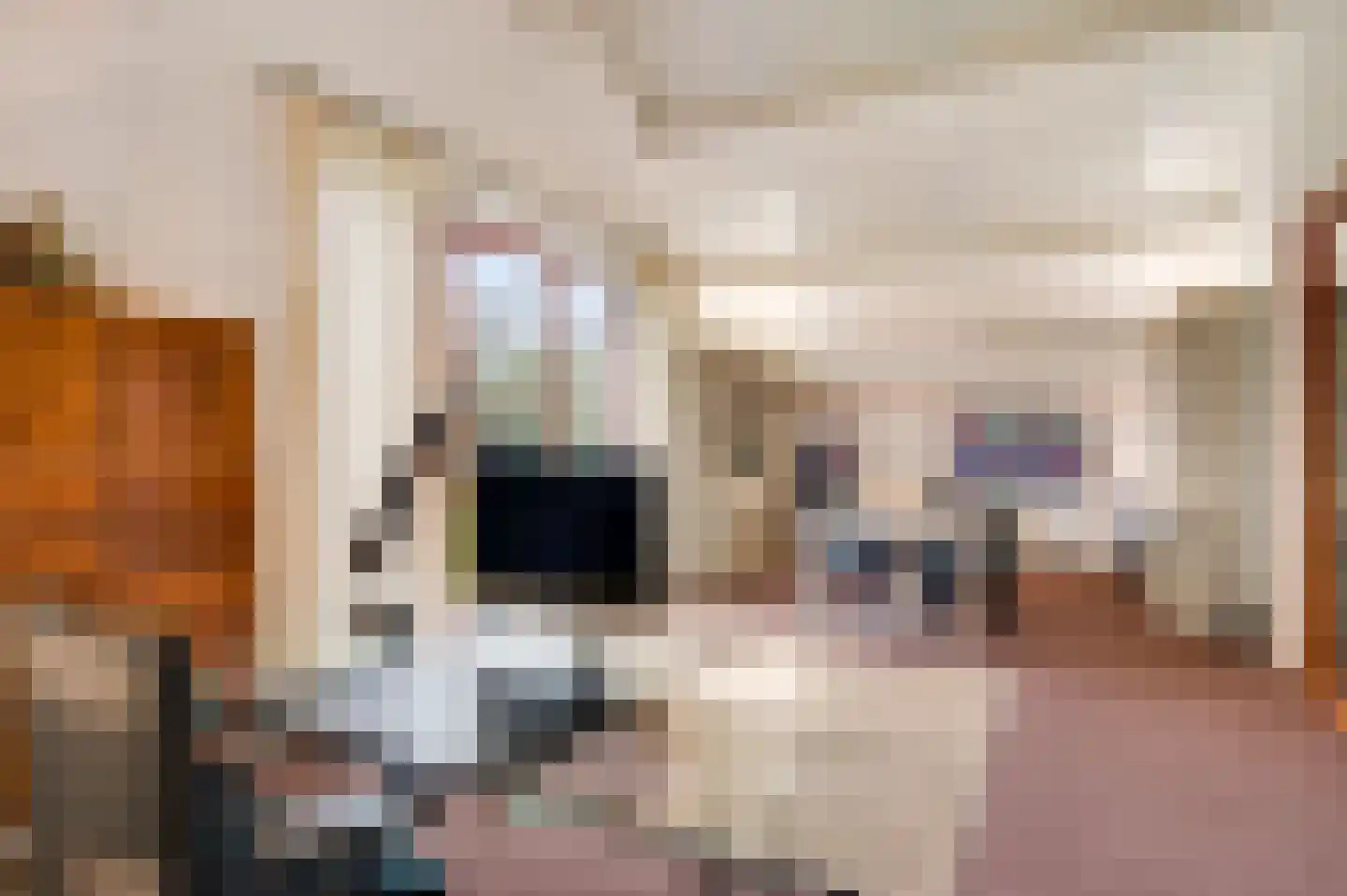Baakhoven 11 Susteren thumbnail 30
