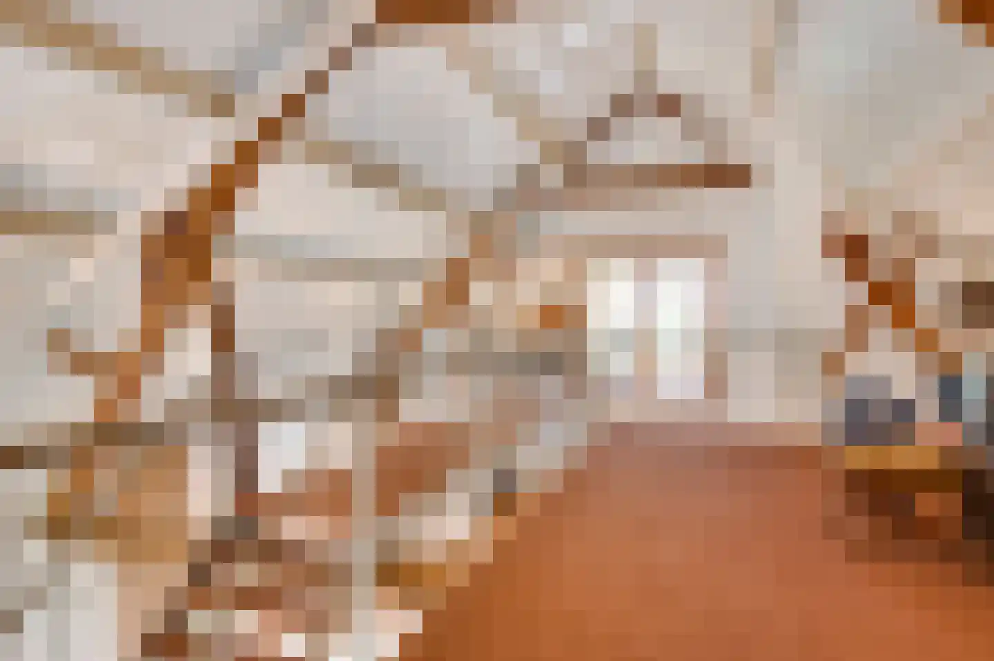 Baakhoven 11 Susteren thumbnail 32