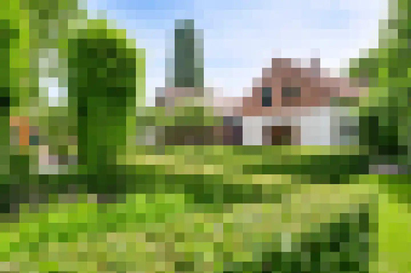 Baakhoven 11 Susteren thumbnail 34