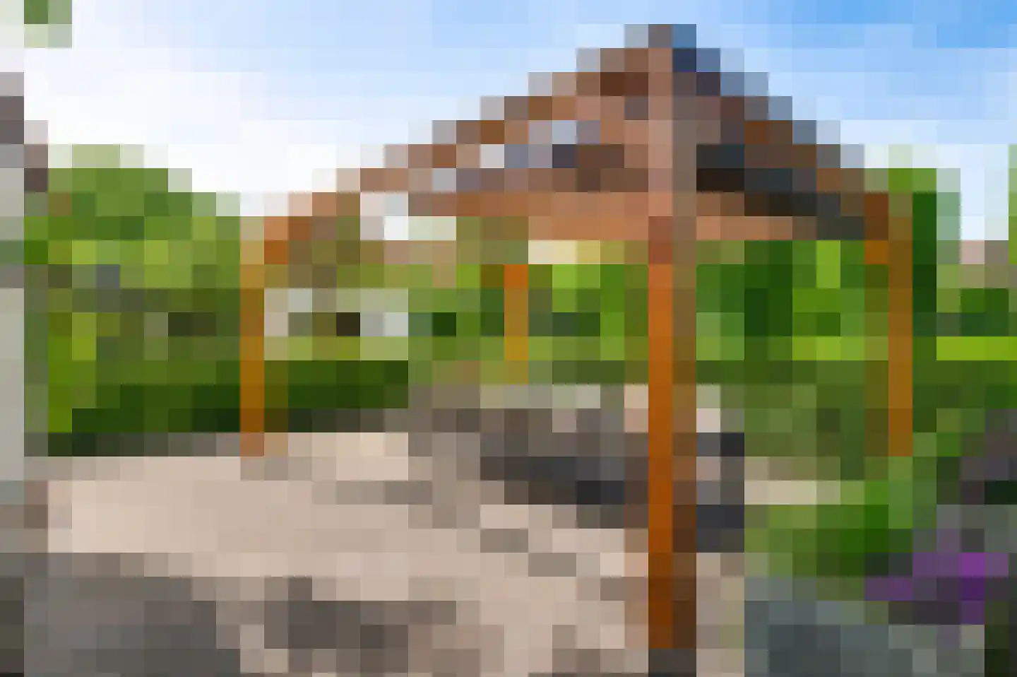 Baakhoven 11 Susteren thumbnail 37