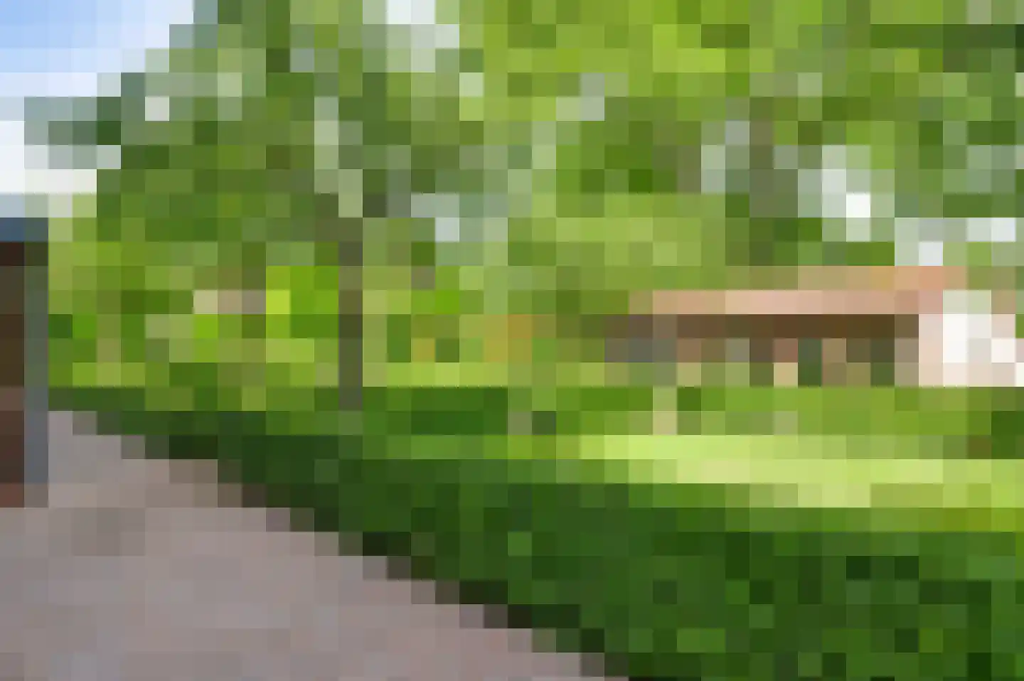 Baakhoven 11 Susteren thumbnail 39