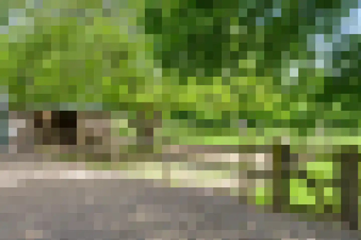 Baakhoven 11 Susteren thumbnail 41