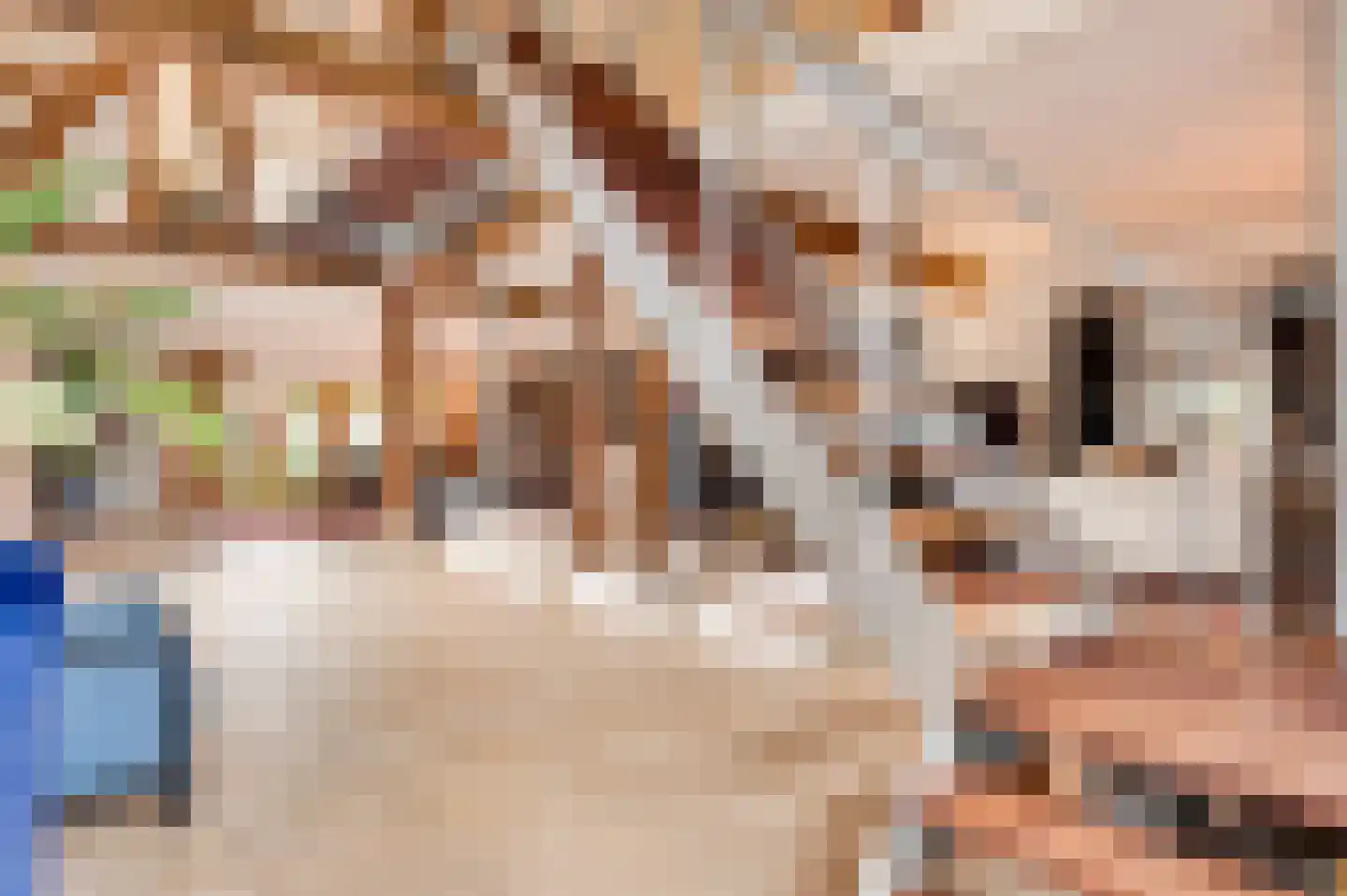 Baakhoven 11 Susteren thumbnail 7