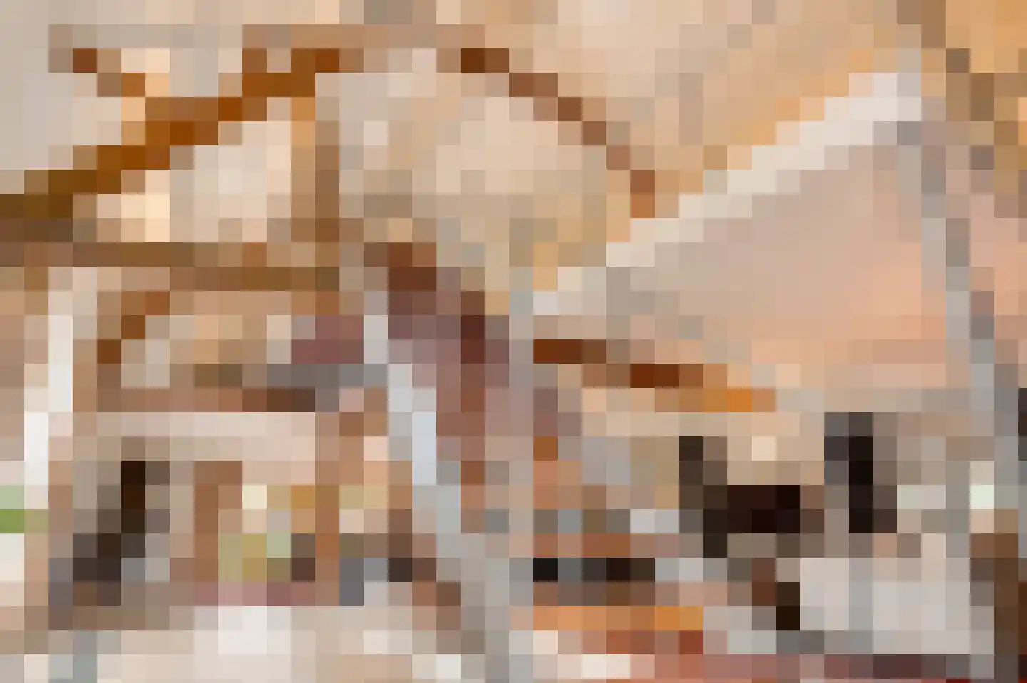 Baakhoven 11 Susteren thumbnail 8