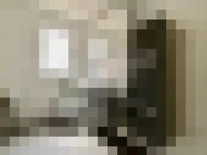 Baakhoven 9 Susteren thumbnail 12