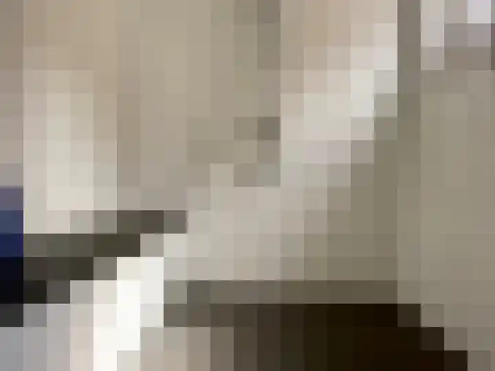 Baakhoven 9 Susteren thumbnail 13