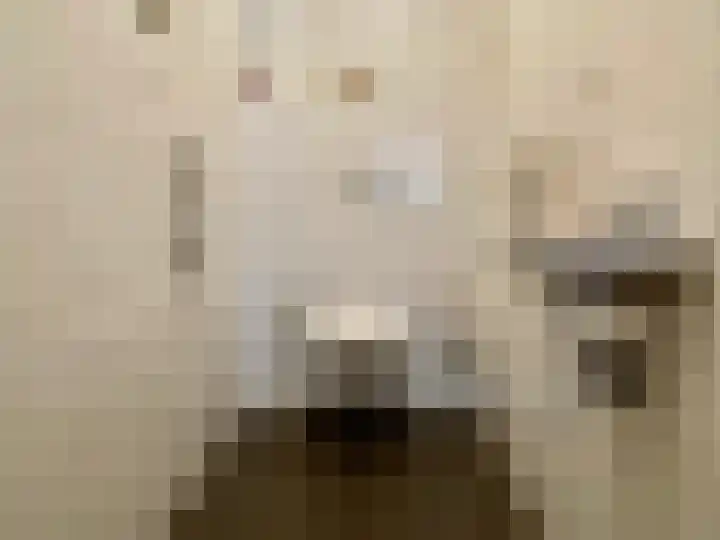 Baakhoven 9 Susteren thumbnail 15