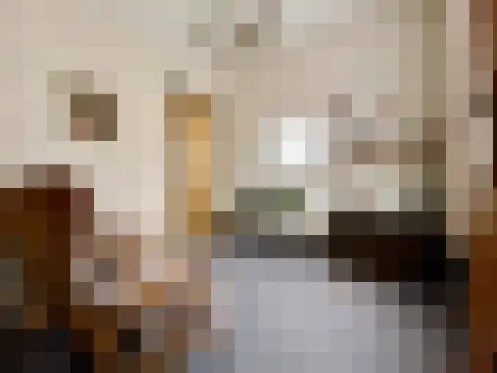 Baakhoven 9 Susteren thumbnail 16