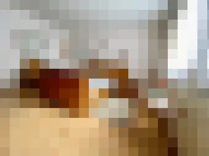 Baakhoven 9 Susteren thumbnail 17