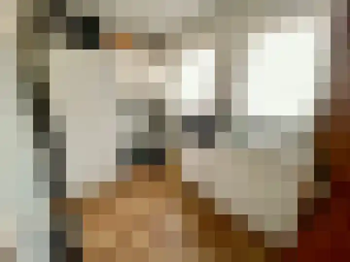 Baakhoven 9 Susteren thumbnail 19