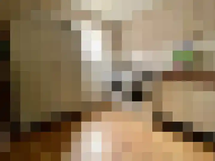 Baakhoven 9 Susteren thumbnail 20