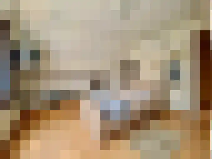Baakhoven 9 Susteren thumbnail 22