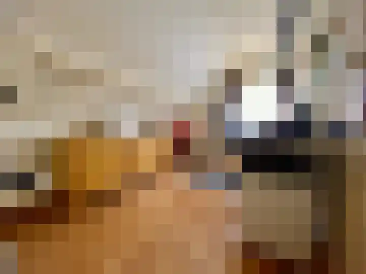 Baakhoven 9 Susteren thumbnail 25