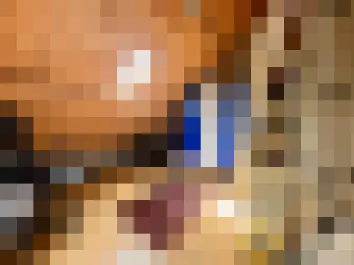 Baakhoven 9 Susteren thumbnail 26