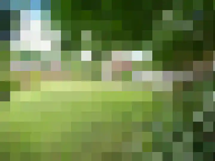 Baakhoven 9 Susteren thumbnail 31