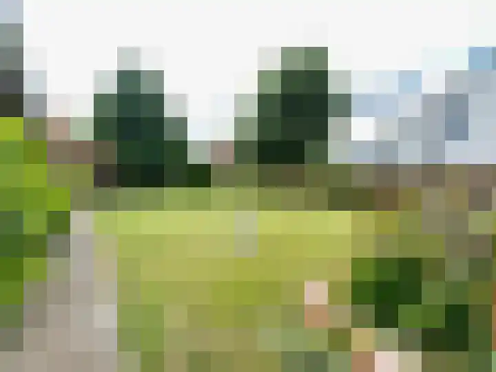 Baakhoven 9 Susteren thumbnail 32
