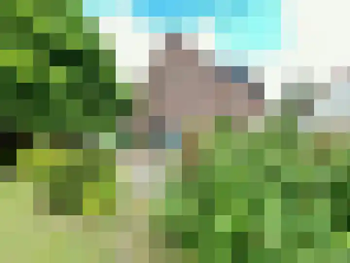 Baakhoven 9 Susteren thumbnail 33