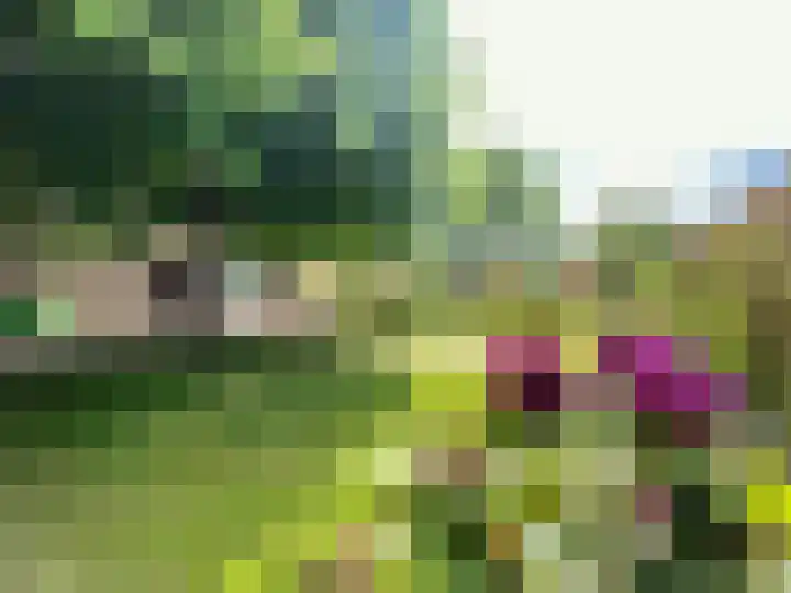 Baakhoven 9 Susteren thumbnail 34