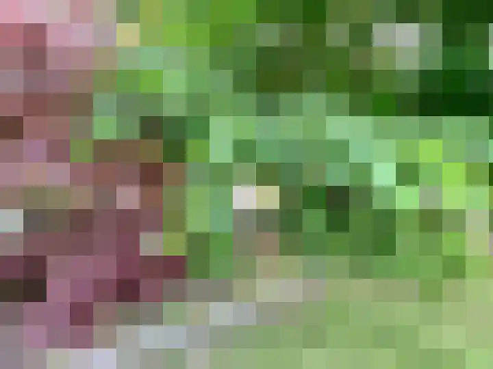 Baakhoven 9 Susteren thumbnail 35