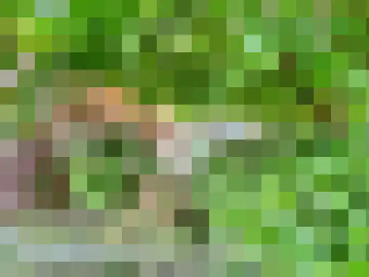 Baakhoven 9 Susteren thumbnail 36