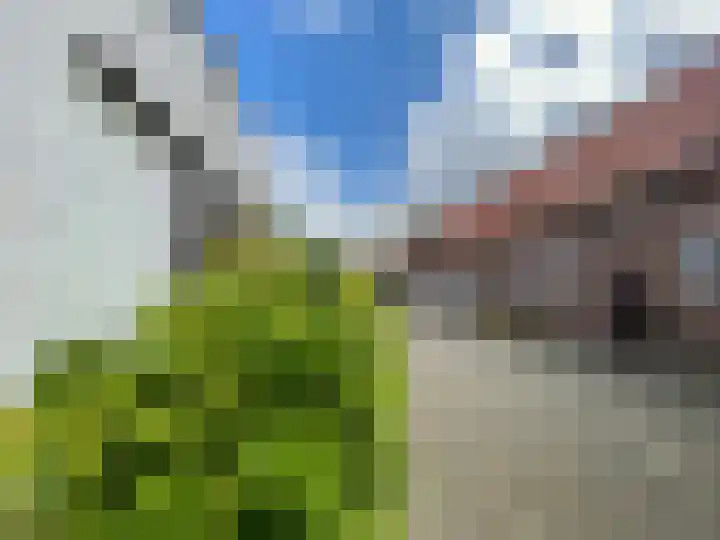 Baakhoven 9 Susteren thumbnail 38