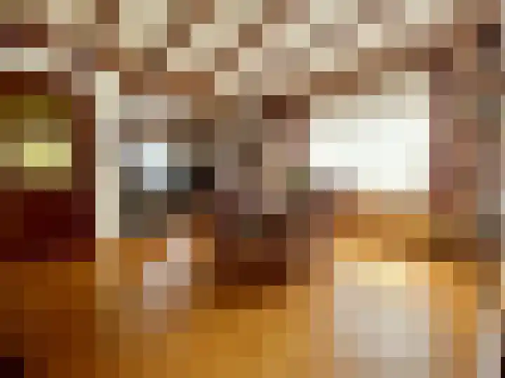 Baakhoven 9 Susteren thumbnail 4