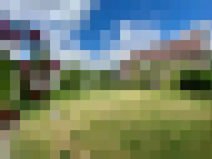 Baakhoven 9 Susteren thumbnail 40