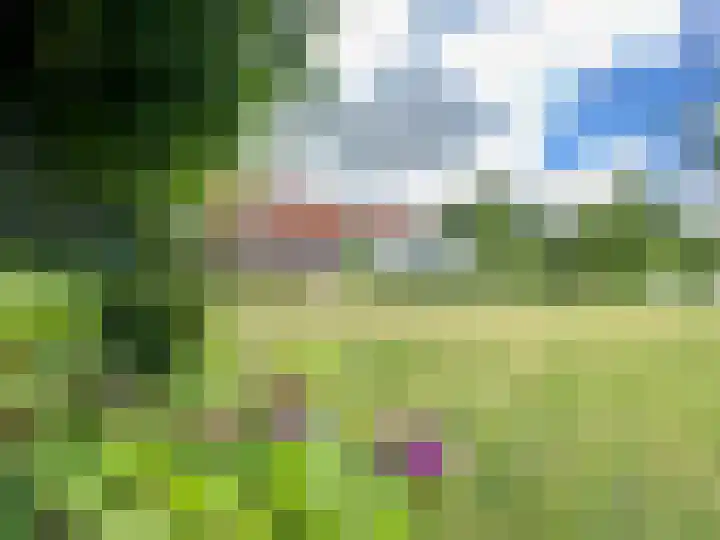 Baakhoven 9 Susteren thumbnail 41