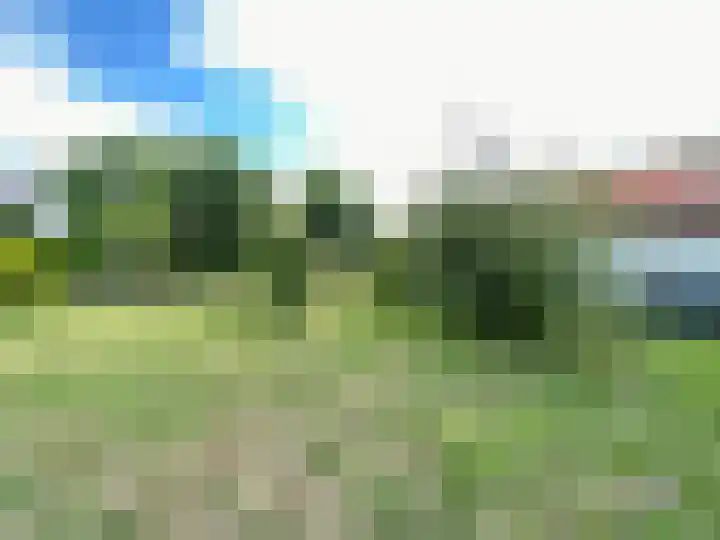 Baakhoven 9 Susteren thumbnail 42