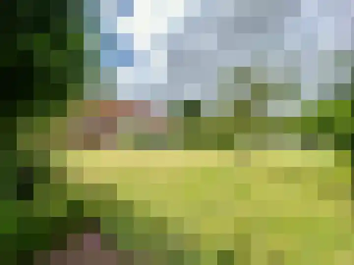 Baakhoven 9 Susteren thumbnail 46
