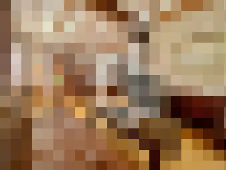 Baakhoven 9 Susteren thumbnail 5