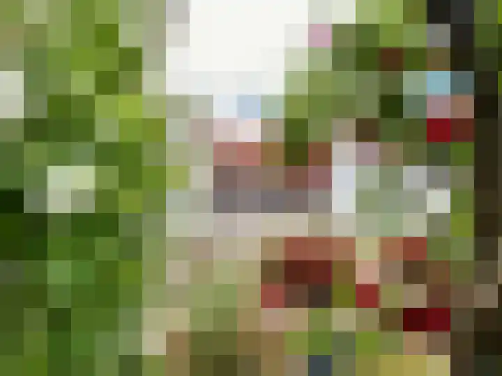 Baakhoven 9 Susteren thumbnail 55