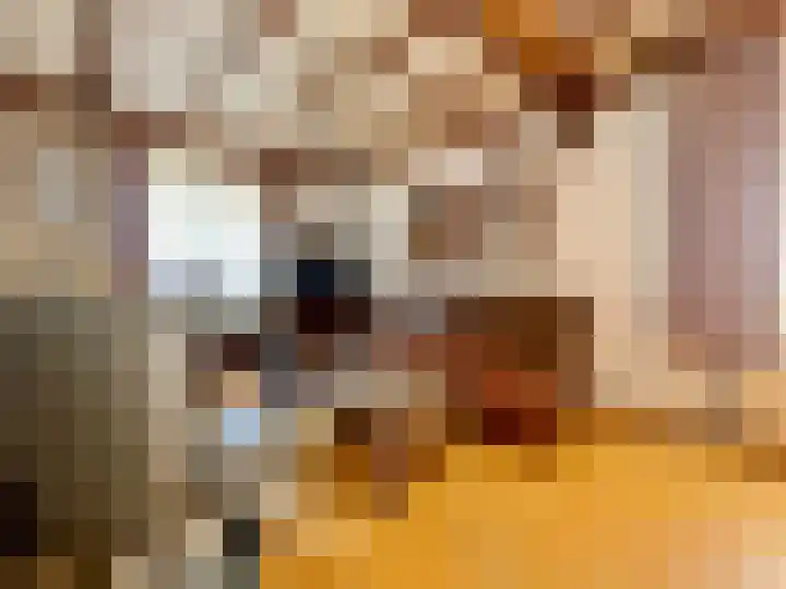 Baakhoven 9 Susteren thumbnail 7