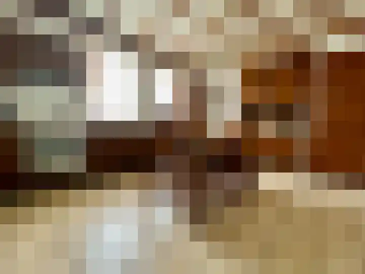 Baakhoven 9 Susteren thumbnail 8