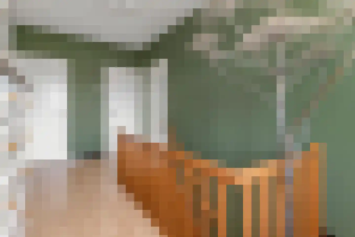 Baakhoverweg 21 Susteren thumbnail 24