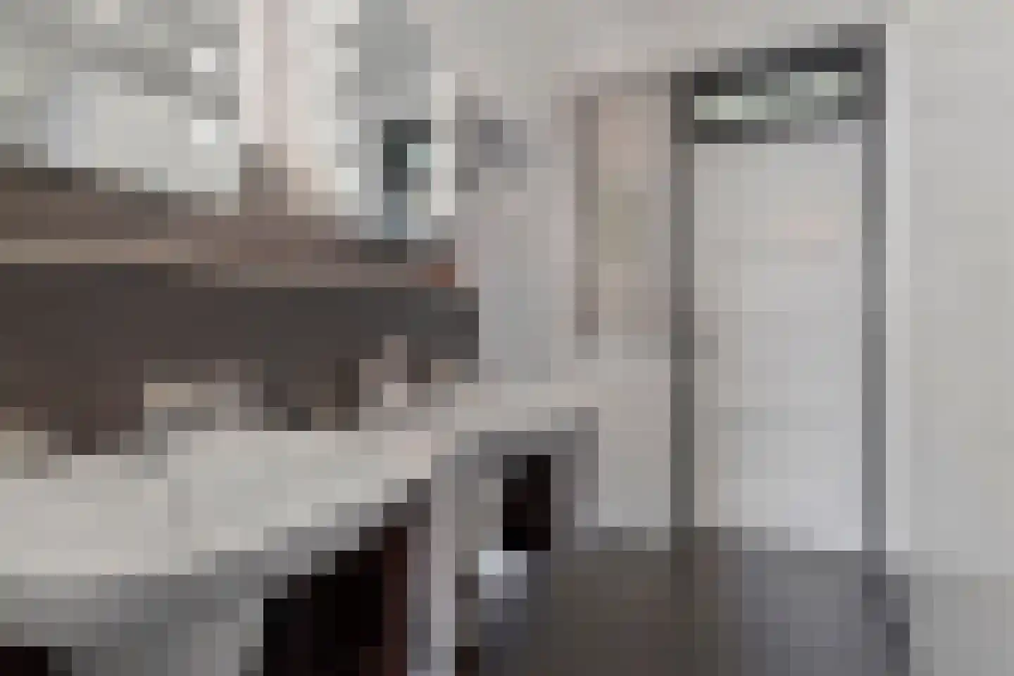 Baakhoverweg 21 Susteren thumbnail 32