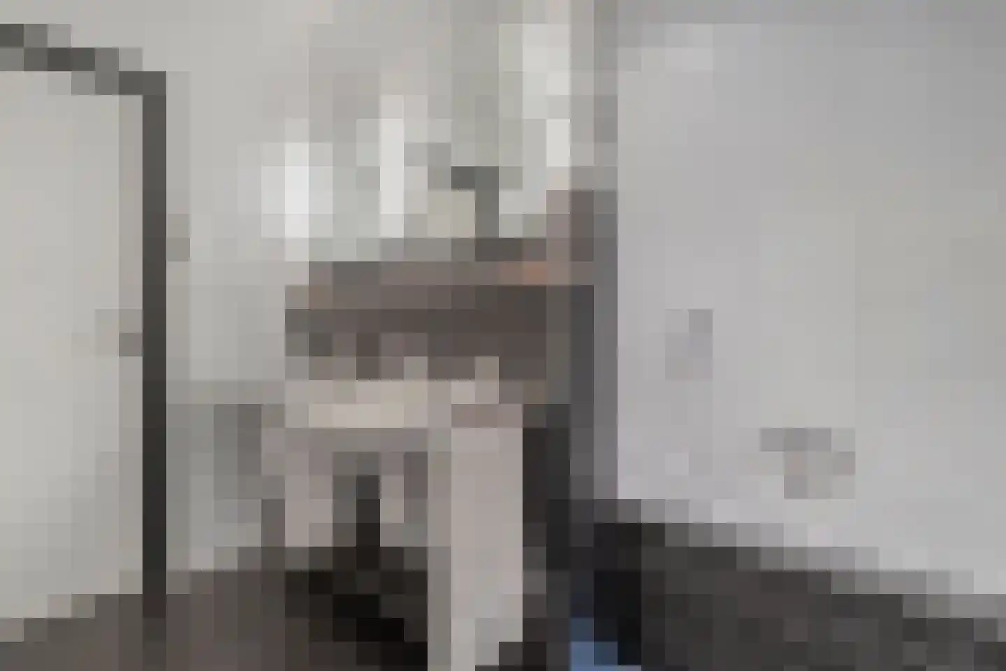 Baakhoverweg 21 Susteren thumbnail 33