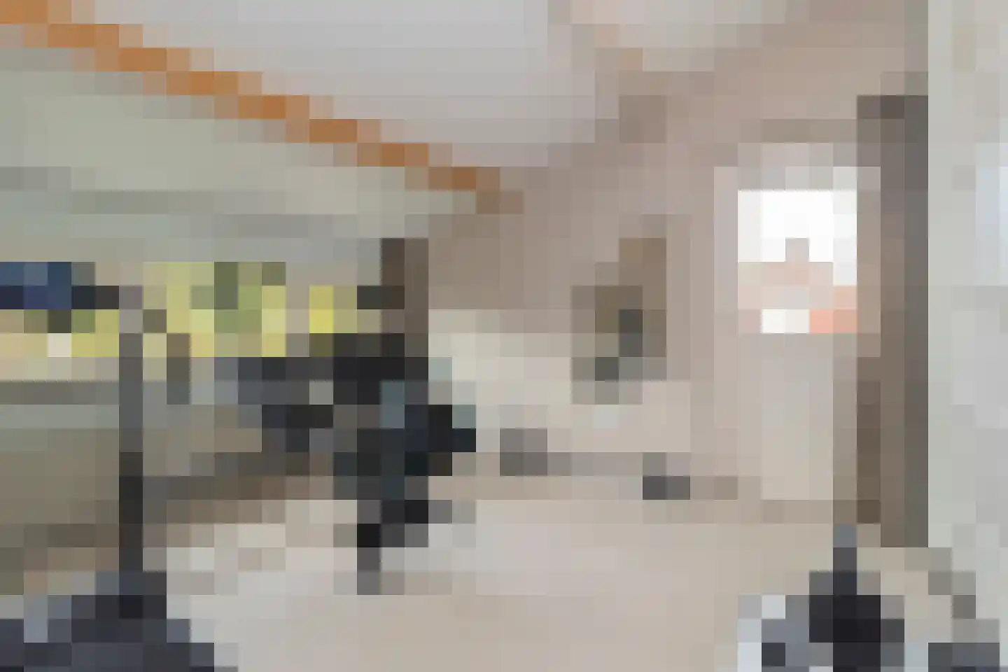 Baakhoverweg 21 Susteren thumbnail 37